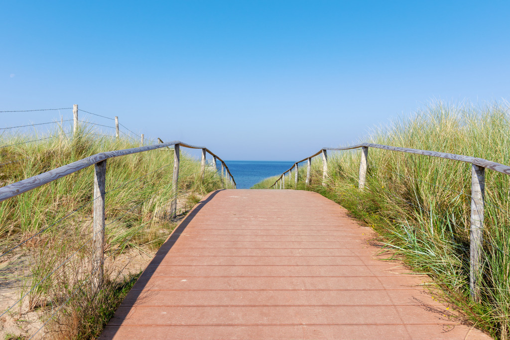 Wandbild: Dünenweg – Ruhe und Naturverbundenheit | Sanfte Farben und eine beruhigende Küstenlandschaft – dieses Wandbild vermittelt die entspannte Atmosphäre eines Weges, der sich durch die Dünen zum Meer schlängelt. Die ruhige Bildkomposition mit dem blauen Himmel und dem sanften Dünengras schafft eine offene und harmonische Raumwirkung. Ideal für Wartezimmer, Behandlungsräume oder Empfangsbereiche, um eine stressfreie und wohltuende Umgebung zu gestalten. - Realisiert mit Pictrs.com