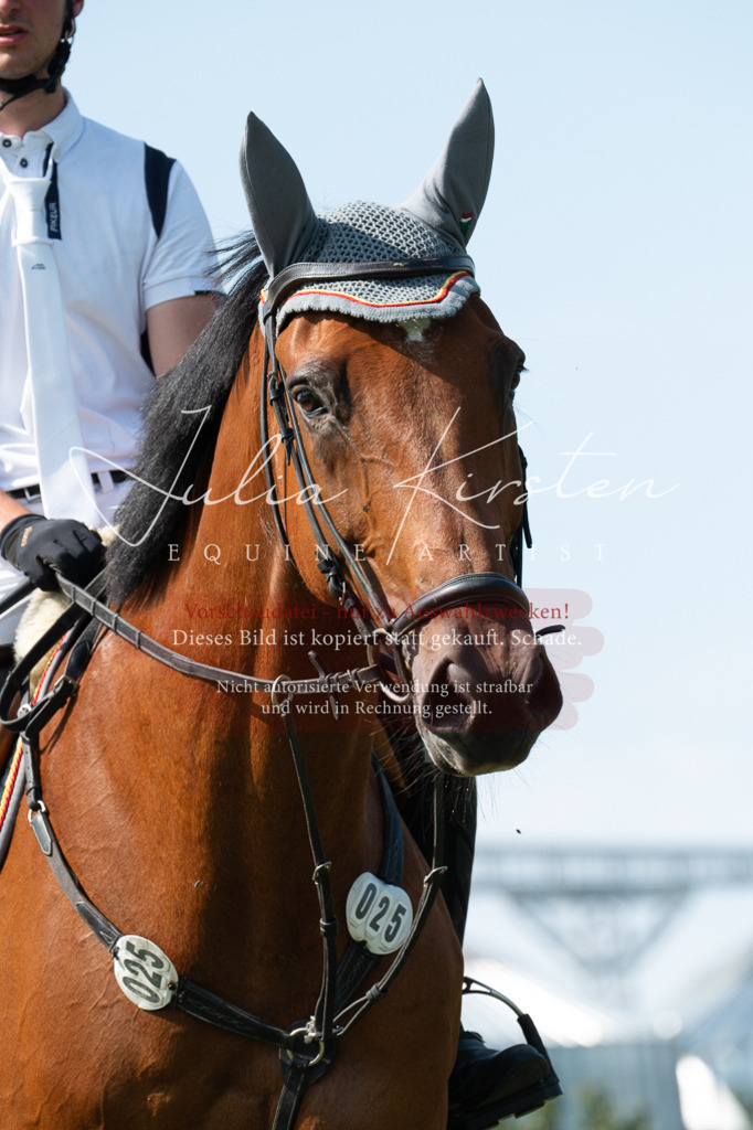 DSC_0893 | Pferde- und Turnierfotografie in Westsachsen. Pferdeportraits, Auftragszeichnungen und intuitive Kunst.