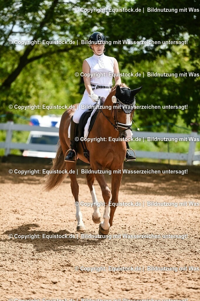 20230716_03_Dressurprfg. Kl.L - Tr._0516 | equistock