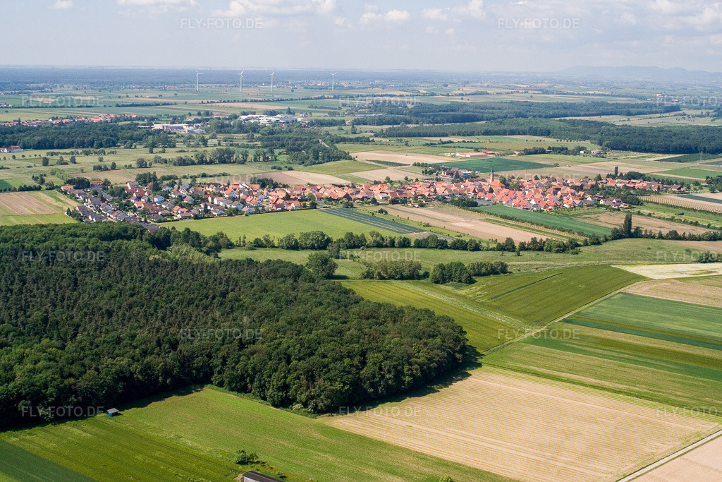 Luftbild: Ortsansicht von Norden in Erlenbach bei Kandel im Bundesland Rheinland-Pfalz in Deutschland. Foto: IMG_2313.jpg vom 03.06.2006 durch Werner Riehm/FLY-FOTO.de