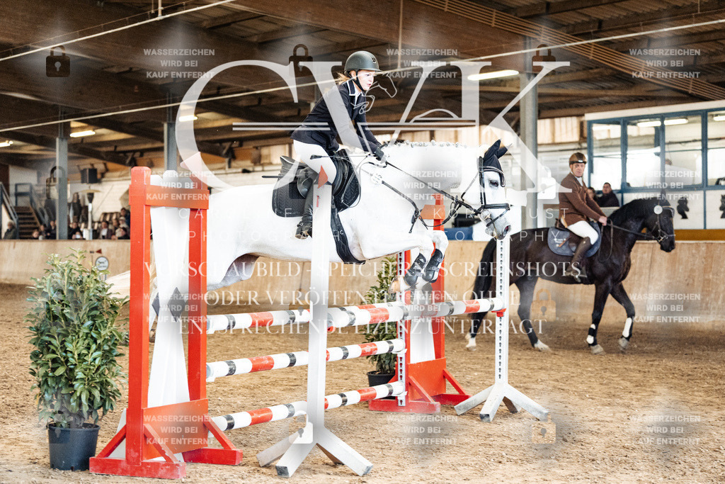 CK905300 | Turnierfotografie Pferdefotografie Trier Rheinland-Pfalz Pferdesport Reitsport Tierfotografie Sportfotografie Pferdevideo Pferdevideografie Equestrianvideography equestrianphotography  - Realized with Pictrs.com