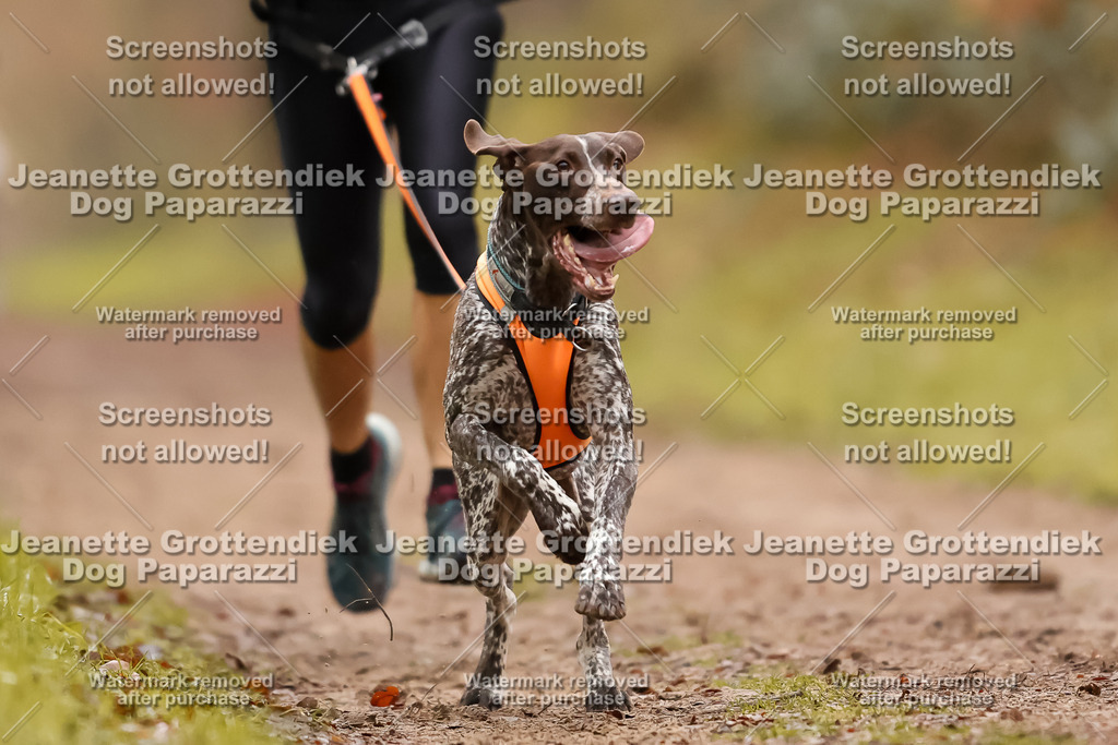 Dog Paparazzi - Speedhunter Mannheim  2025-104 | Dog Paparazzi Jeanette Grottendiek Fotografie & Videografie