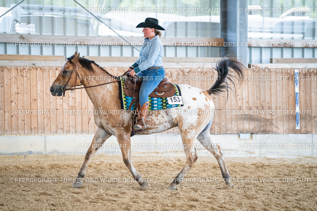 DSC03612 | Pferdegrafie