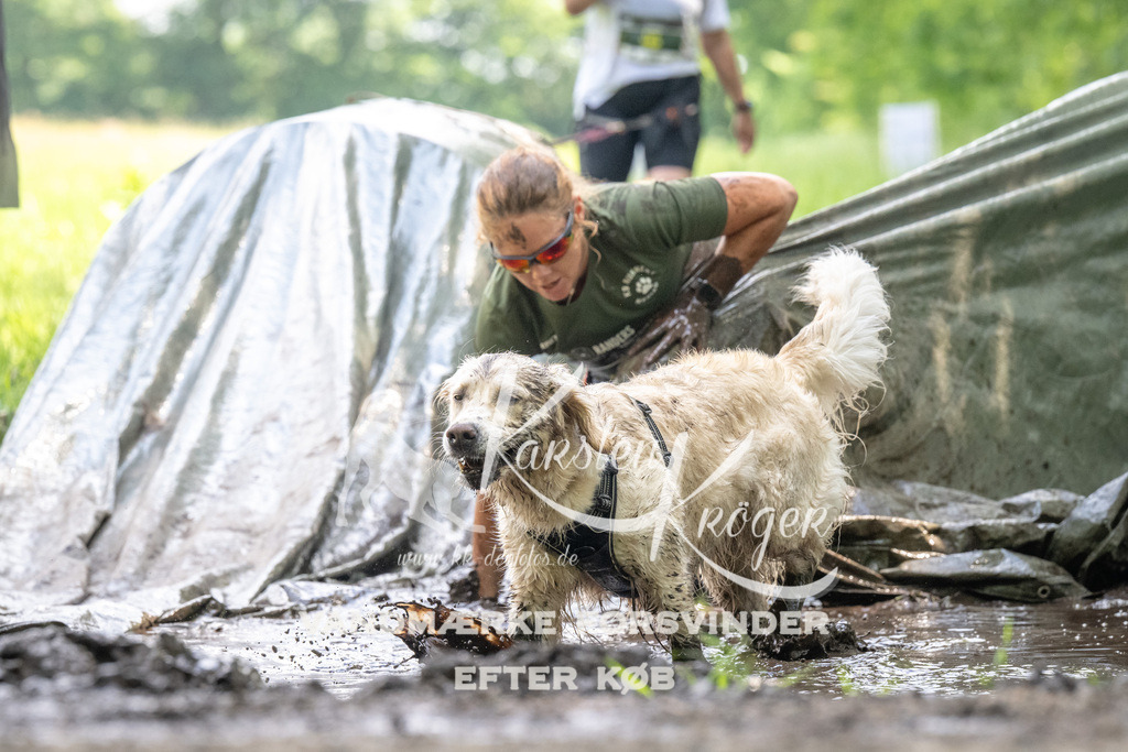 1214_ZZ91874 | kk-dogfotos