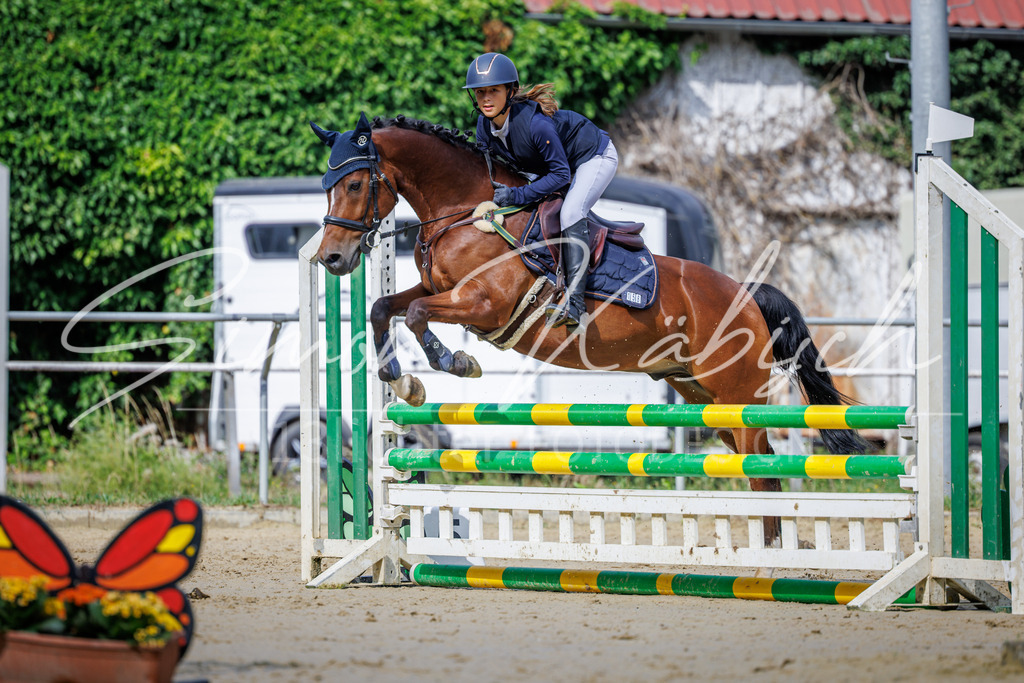 20260705-_3LI3915 | Tierfotografie Pferde, Hunde, Katzen, Haustiere.
Turnierfotografie Reitturniere, Reiten, Springreiten, Dressur in Hanau, dem Main-Kinzig-Kreis und dem Rhein-Main- Gebiet um Frankfurt