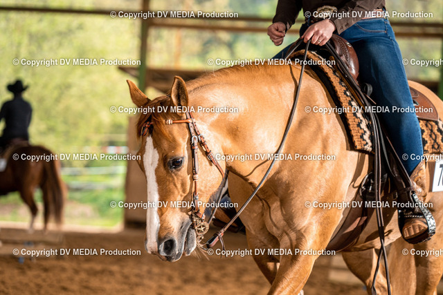 Balingen Tag 3-045 | dv-media-shop - Realisiert mit Pictrs.com