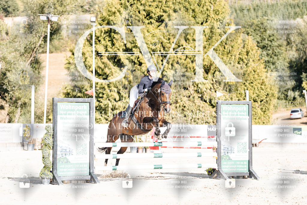 CK909190 | Turnierfotografie Pferdefotografie Trier Rheinland-Pfalz Pferdesport Reitsport Tierfotografie Sportfotografie Pferdevideo Pferdevideografie Equestrianvideography equestrianphotography  - Realisiert mit Pictrs.com