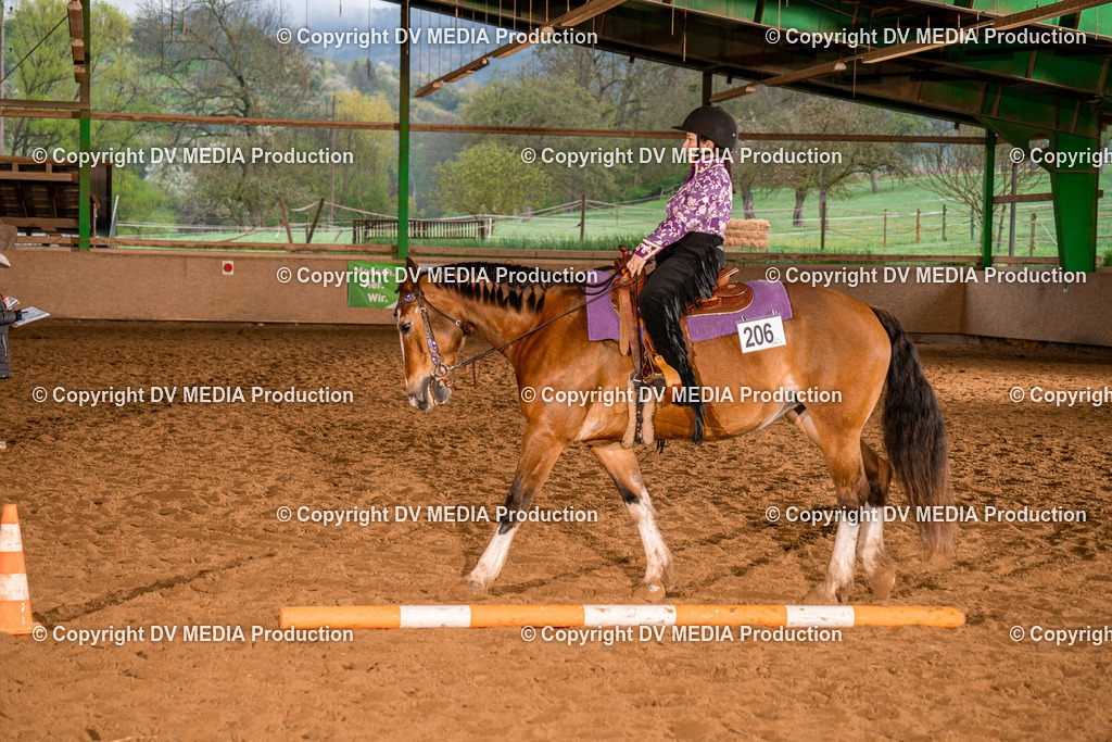 BAL01398 | dv-media-shop - Realisiert mit Pictrs.com