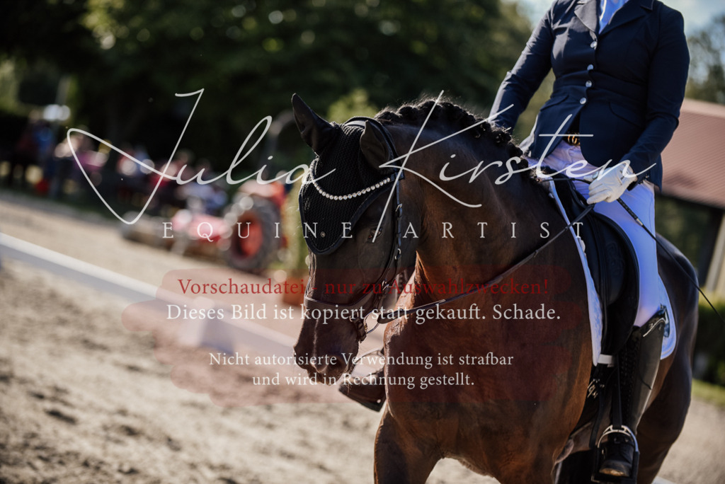 DSC_0559 | Pferde- und Turnierfotografie in Westsachsen. Pferdeportraits, Auftragszeichnungen und intuitive Kunst.