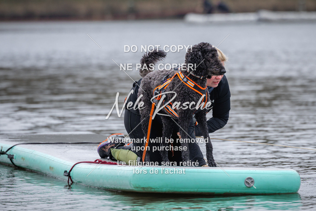 nelerasche_Hulsbeek_Sa1600-1700_283 | nelerasche