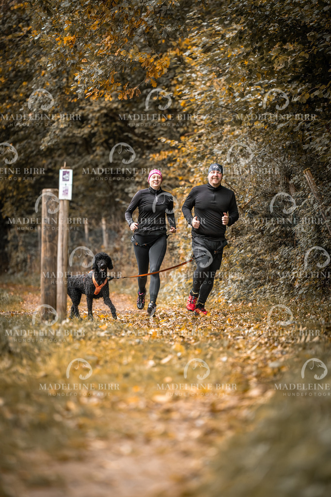madeleinebirr-fotografie2025.campcanis.sa.8-9Uhr-18 | hundefotografie-birr