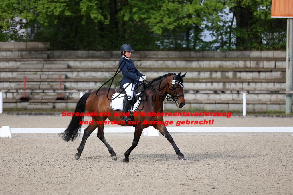 A40A0033 | lmwpictures - Realisiert mit Pictrs.com