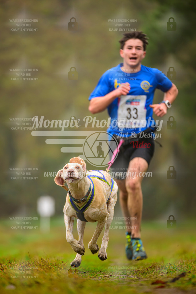 MompixPhotography_Bischwiller2025_Canicross-2 | mompixphotography