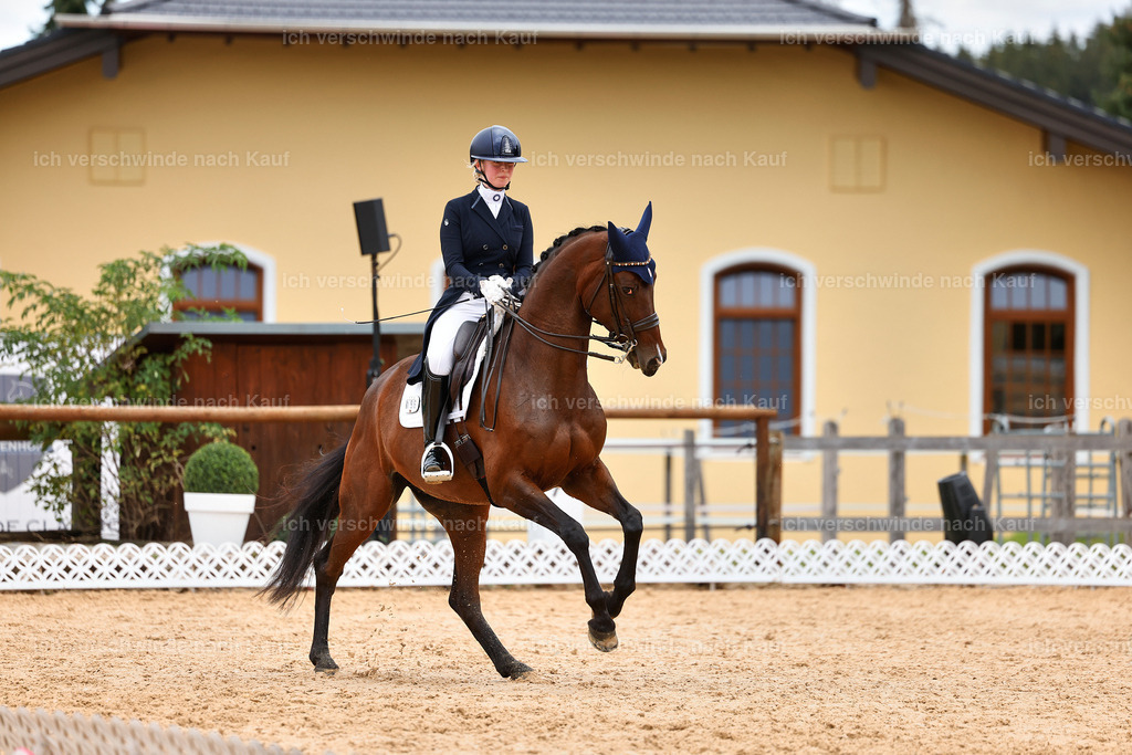 6-196-AMATUER-DRESSUR S_  -StoibPH-3515 | working equitationturnier fotograf videograf stoibphotography marixx film working equitation deutschland reitsport turnierfotografie eventfotografie equestrian events