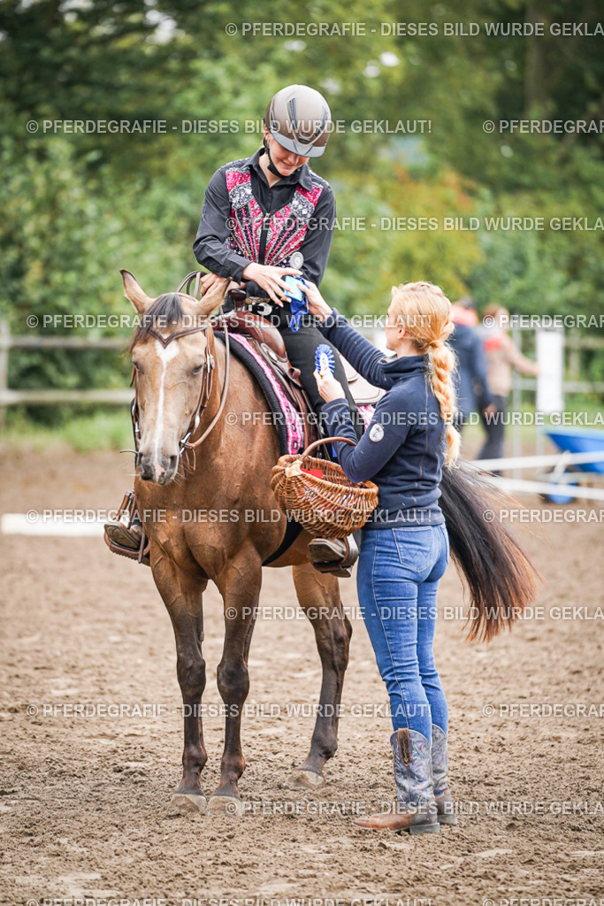 DSC02682 | Pferdegrafie