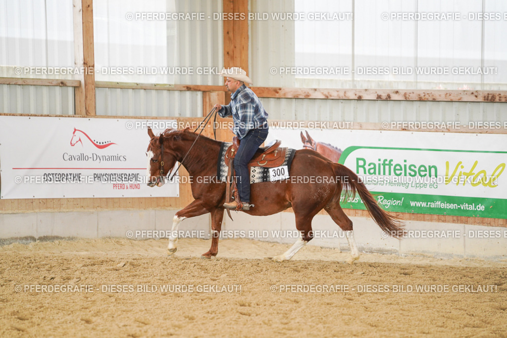 DSC01497 | Pferdegrafie