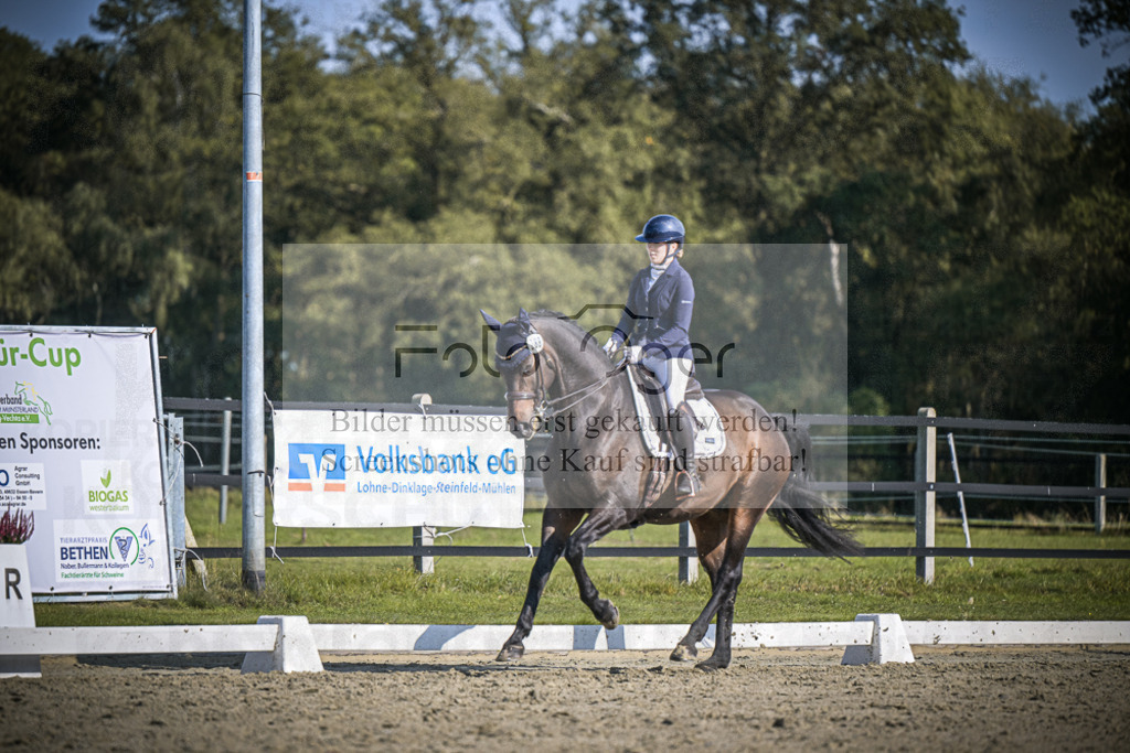 DOS_2771 | Entdecke hochwertige Reitturnierfotos von Foto Oger. Professionell, emotional und authentisch – jetzt Lieblingsmomente im Shop bestellen.Deutschlandweite Turnierfotografie. - Realisiert mit Pictrs.com