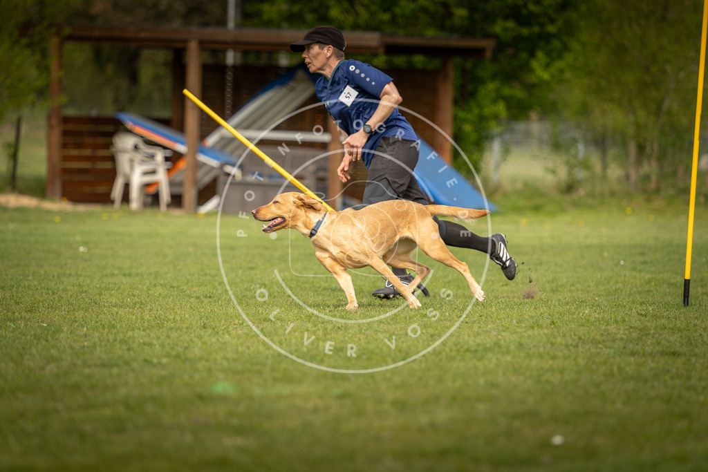 Pfotenfotografie_DV3A5673 | Hundefotografie, Tierfotograf, Pfotenfotografie, Fotoshooting Hund, Hunde Portrait, Hundesport, Hundeportraits, Heideshooting, Hunde, Sportfotograf, Hundefotograf, Turnierhundsport, THS,  - Realisiert mit Pictrs.com
