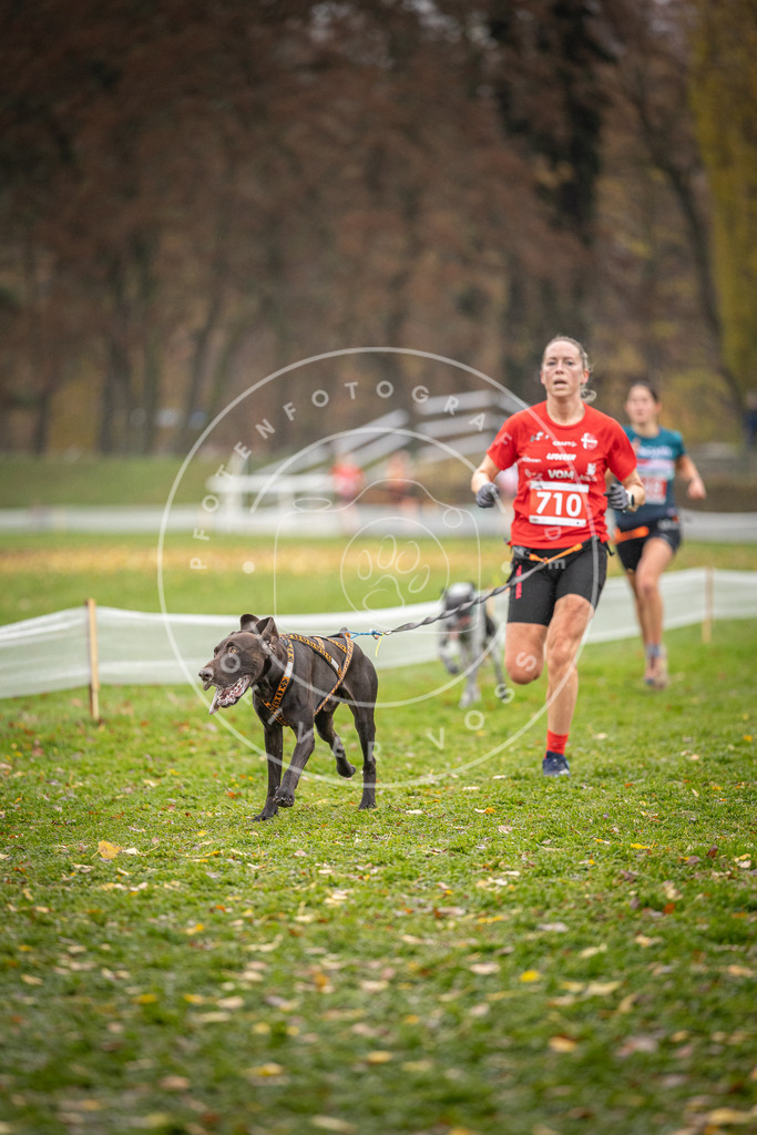 CaniXpix_DV3A9185 | Hundefotografie, Tierfotograf, Pfotenfotografie, Fotoshooting Hund, Hunde Portrait, Hundesport, Hundeportraits, Heideshooting, Hunde, Sportfotograf, Hundefotograf, Turnierhundsport, THS,  - Realisiert mit Pictrs.com