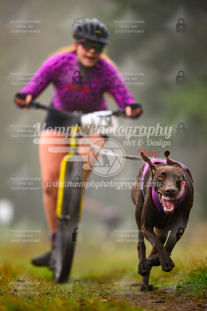 MompixPhotography_Bischwiller2025_Scooter-42 | mompixphotography