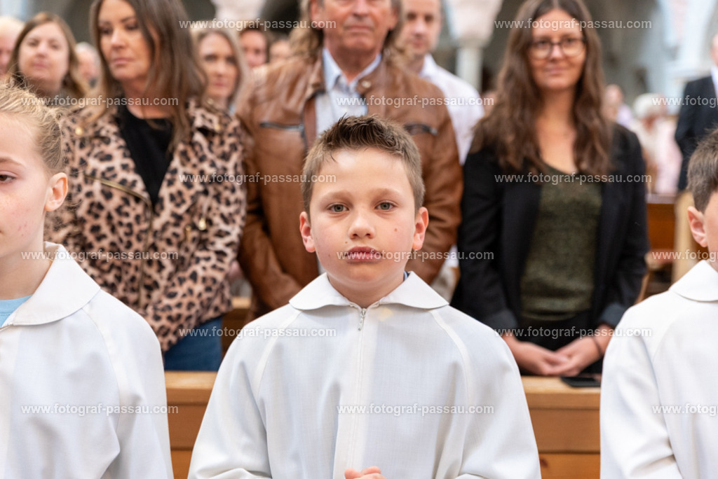 _DSC2626 | Hier finden Sie die Online Foto-Galerie von fotograf-passau.com und marius-handrugan.de. Suchen Sie sich direkt Ihre Lieblingsbilder aus, ob als Ausdruck oder Download. - Realisiert mit Pictrs.com