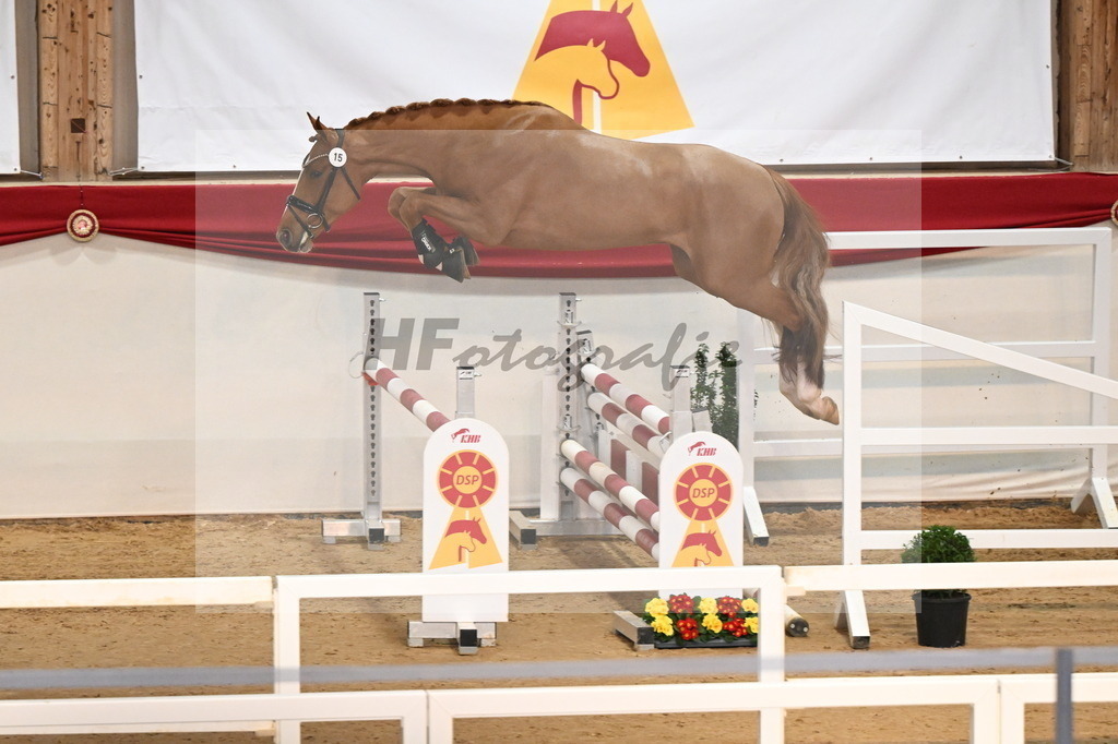 Kat.-Nr. 15 v. Darry Lou_Schep_3261641 | hf-fotografie - Realisiert mit Pictrs.com