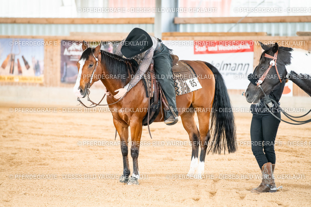 DSC03154 | Pferdegrafie