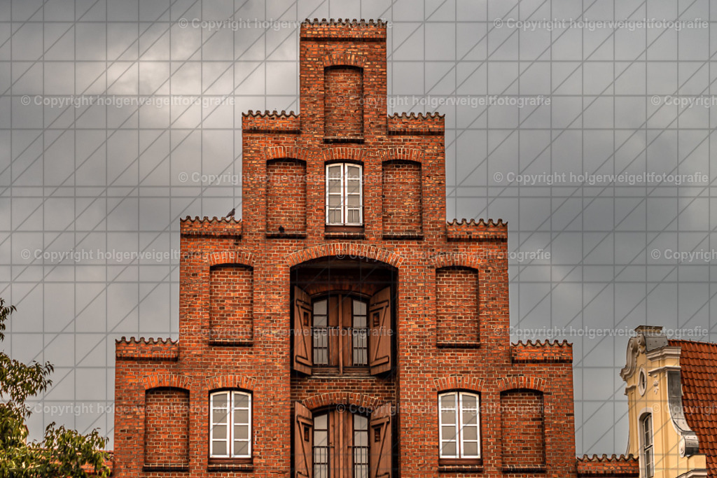 20221005132308D75_9815 | Kaufen sie online außergewöhnliche Fotografien auf Leinwand Acrylglas Fotoprint Aludibond von holgerweigeltfotografie - Realisiert mit Pictrs.com