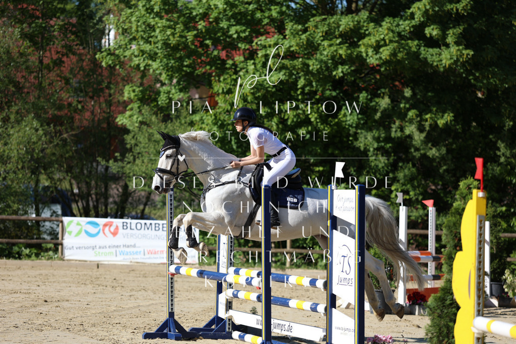 IMGS5334 | pl-fotografie