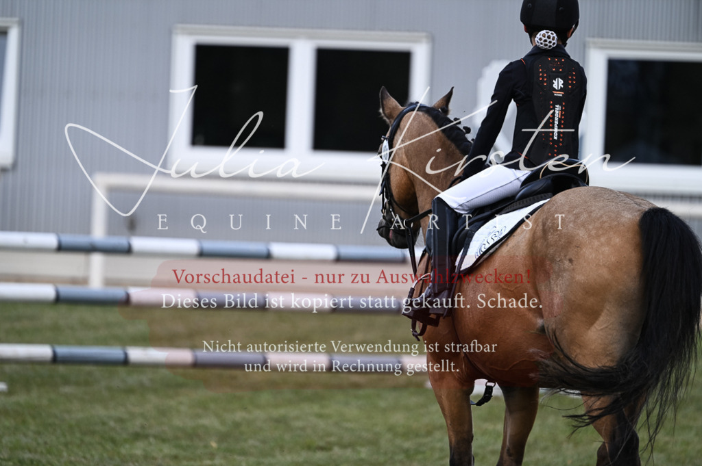 DSC_5600 | Pferde- und Turnierfotografie in Westsachsen. Pferdeportraits, Auftragszeichnungen und intuitive Kunst.