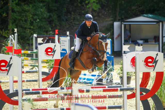 DKP40482 | Turniersportfotografie; Pferdefotografie; Dressurfotografie