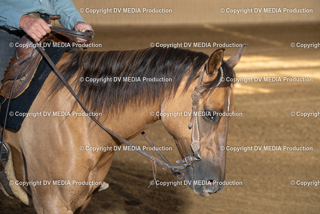 DSC00225 | dv-media-shop - Realisiert mit Pictrs.com