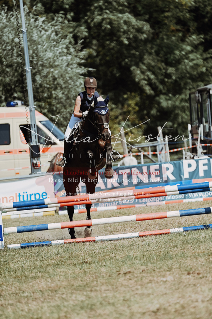 DSC_0003 | Pferde- und Turnierfotografie in Westsachsen. Pferdeportraits, Auftragszeichnungen und intuitive Kunst.