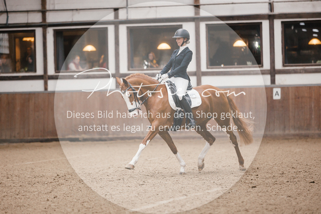3I6A6425 | Stimmungsvolle Portraits und Reitsportfotografie im Ruhrgebiet und im Münsterland.

Pferdefotografie, Hundefotografie, Tierfotografie, Reportagen, Portraits von Tier und Mensch, Turnierfotografie in Bochum, Recklinghausen, Marl, Haltern am See, Dülmen.. - Realisiert mit Pictrs.com