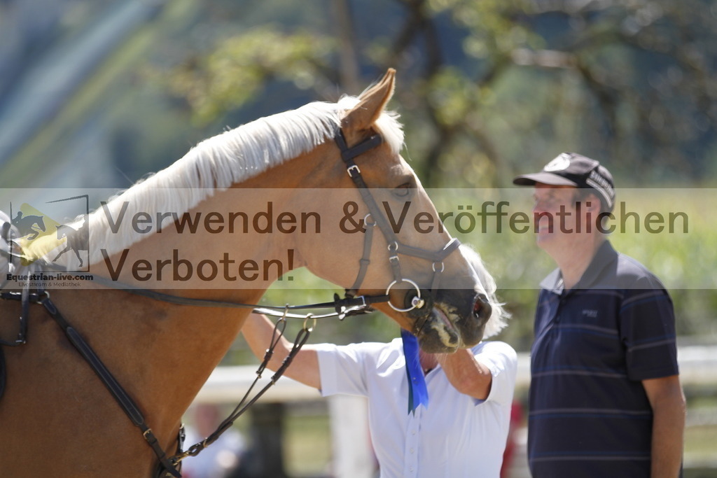 _MG_1009 | equestrian-live-com