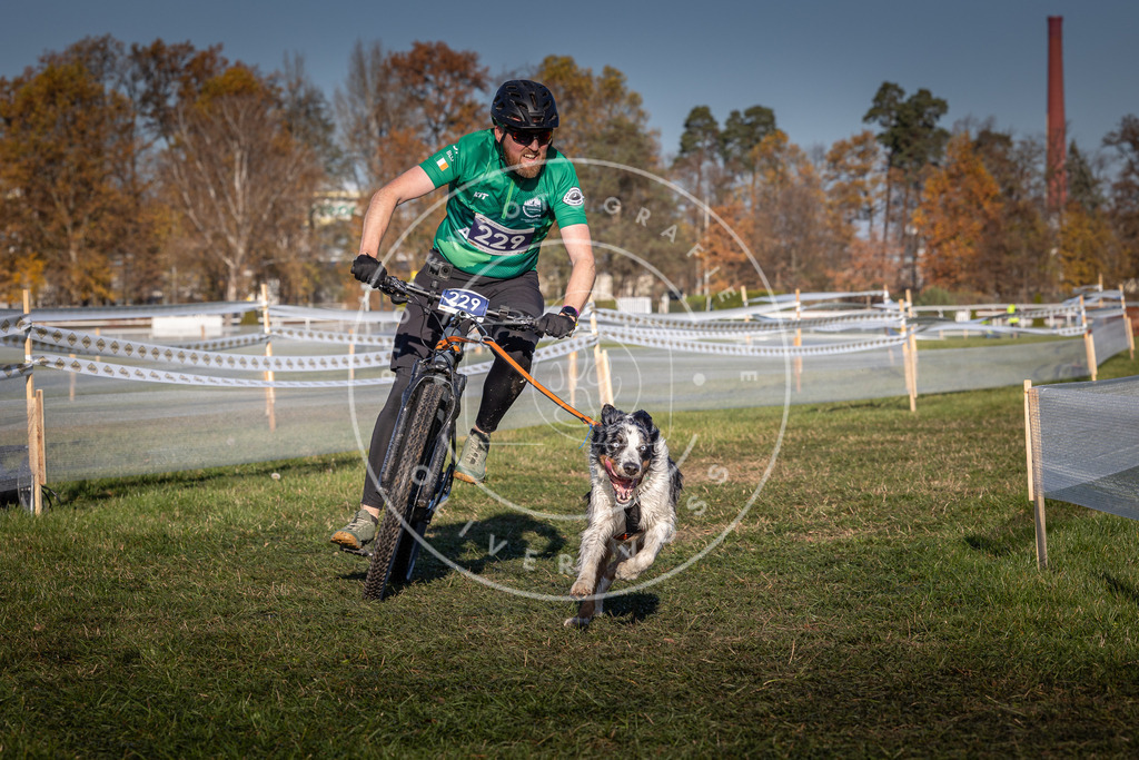 CaniXpix_0L8A4721 | Hundefotografie, Tierfotograf, Pfotenfotografie, Fotoshooting Hund, Hunde Portrait, Hundesport, Hundeportraits, Heideshooting, Hunde, Sportfotograf, Hundefotograf, Turnierhundsport, THS,  - Realisiert mit Pictrs.com