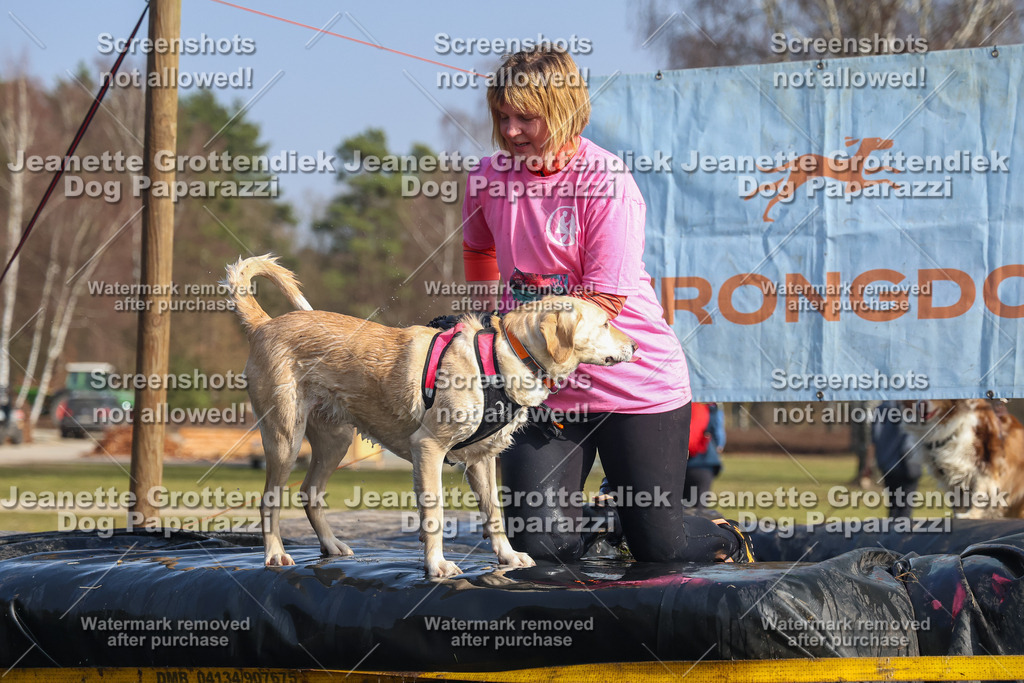Dog Paparazzi - Strongdog North Mrz26-2466 | Dog Paparazzi Jeanette Grottendiek Fotografie & Videografie - Realisiert mit Pictrs.com