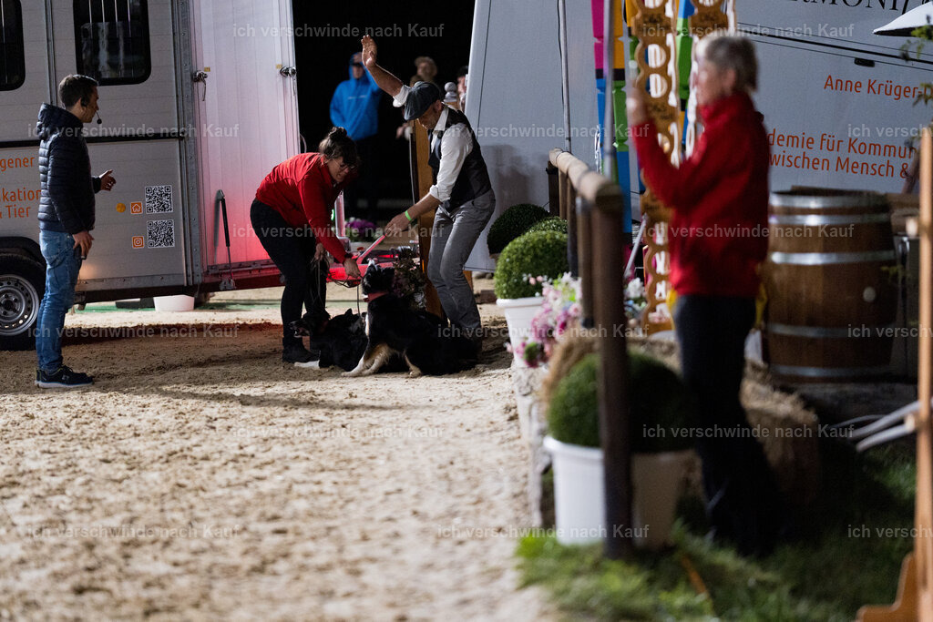 Gala-560 | working equitationturnier fotograf videograf stoibphotography marixx film working equitation deutschland reitsport turnierfotografie eventfotografie equestrian events
