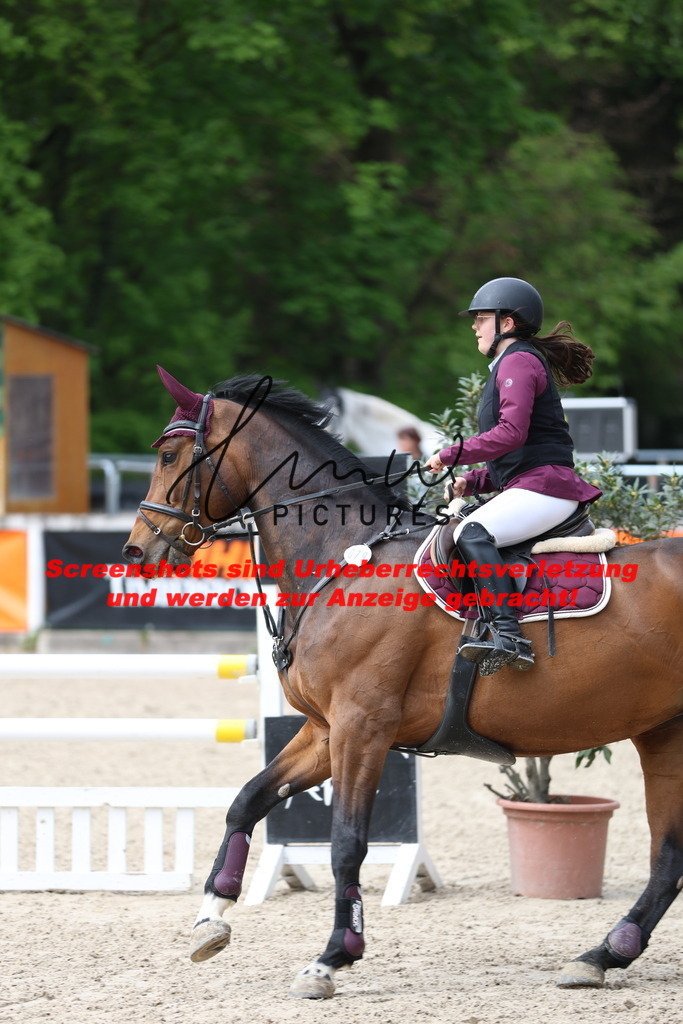 A40A2394 | lmwpictures - Realisiert mit Pictrs.com