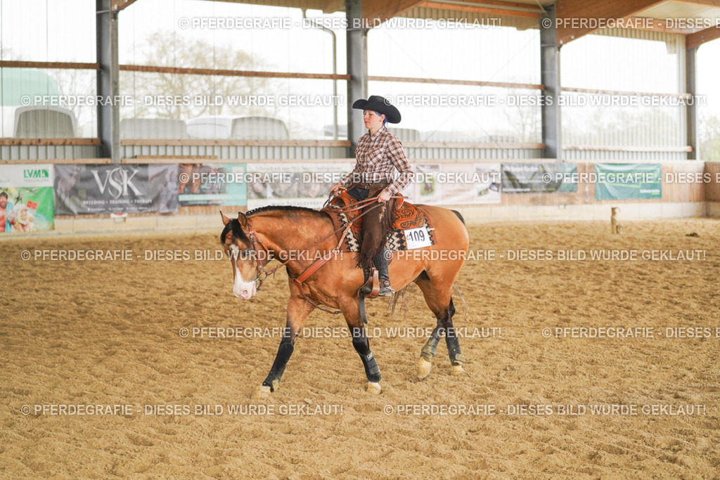 DSC05579 | Pferdegrafie