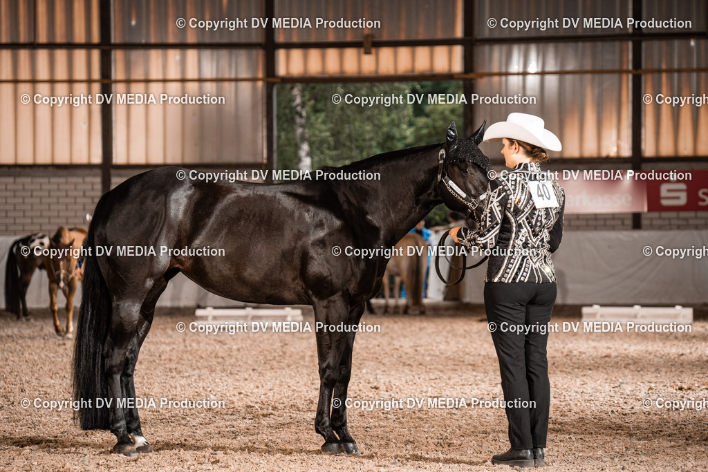 ZH200182 | dv-media-shop - Realisiert mit Pictrs.com