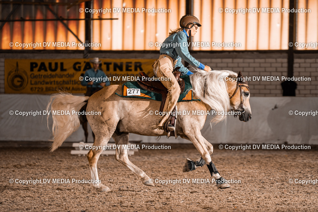 ZH300338 | dv-media-shop - Realisiert mit Pictrs.com