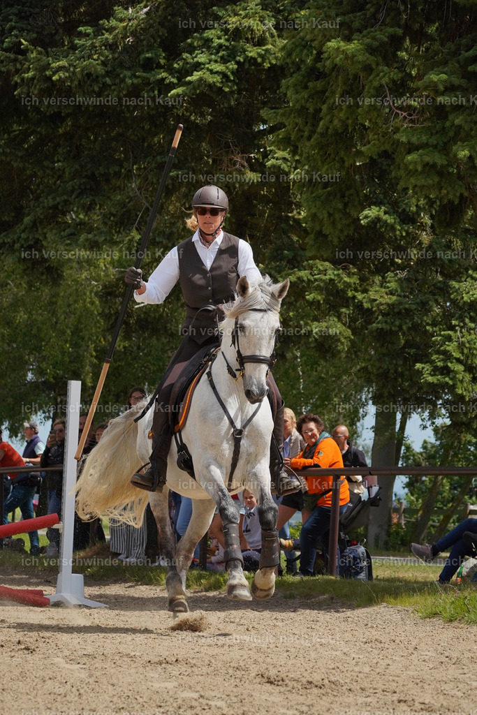 KlasseS_Lucie (97) | working equitationturnier fotograf videograf stoibphotography marixx film working equitation deutschland reitsport turnierfotografie eventfotografie equestrian events