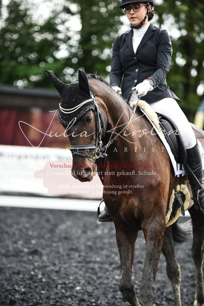 DSC_3005 | Pferde- und Turnierfotografie in Westsachsen. Pferdeportraits, Auftragszeichnungen und intuitive Kunst.