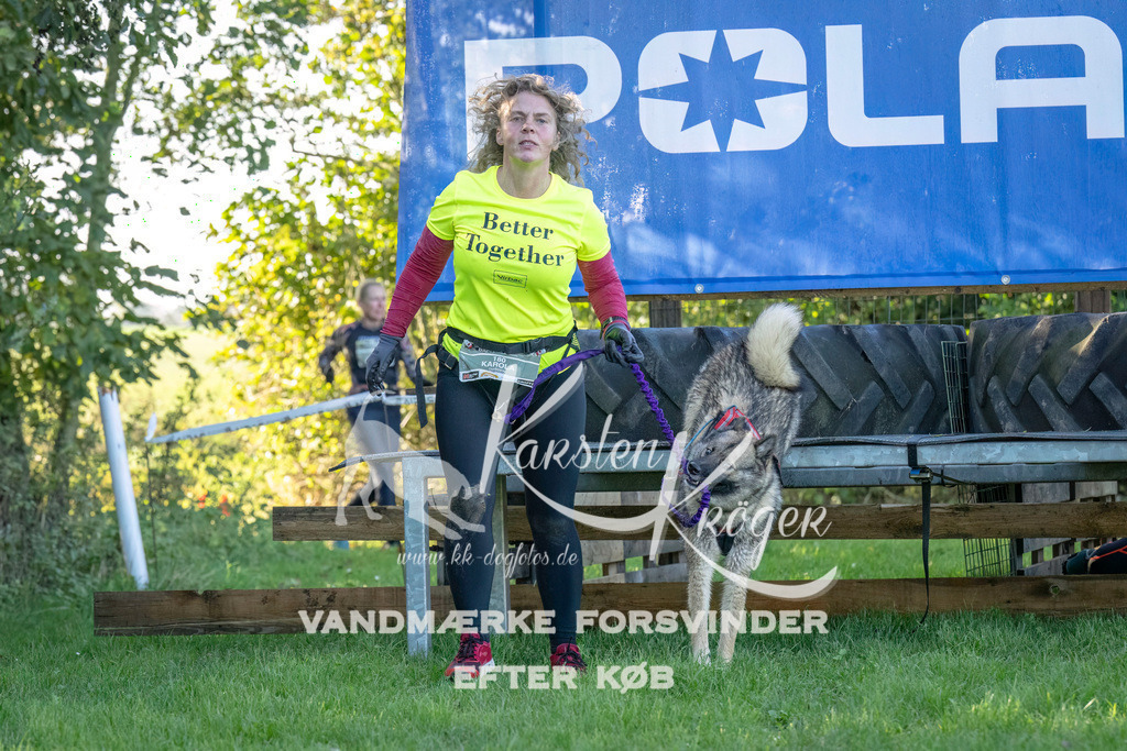 1021- | kk-dogfotos