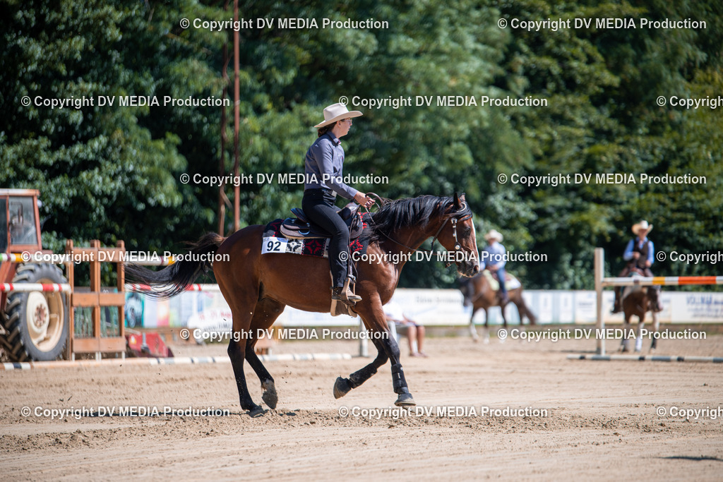 ZS1_1012 | dv-media-shop - Realisiert mit Pictrs.com