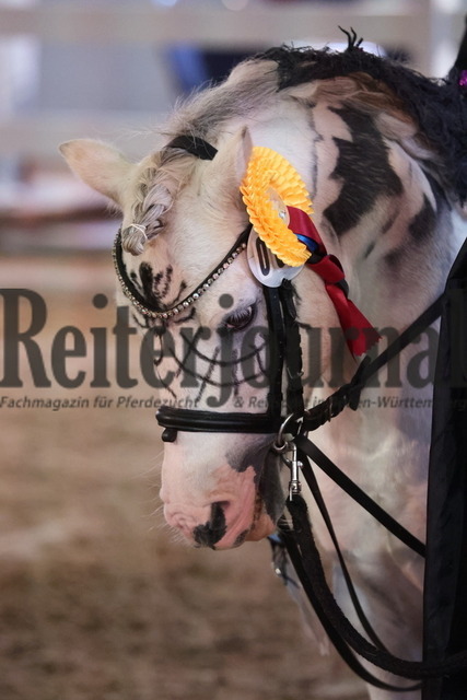 Marbacher_Wochenende_2023_Finale_Kids-Cup_Führzügelklasse_Gruppe_02 (99) | Alle Fotos der Reiterjournal Fotografin Doris Matthaes im Reiterjournal Online-Fotoshop. - Realisiert mit Pictrs.com