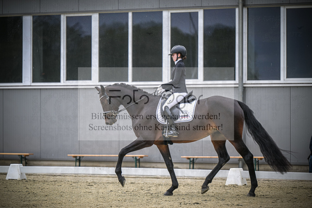 DOS_0811 | Entdecke hochwertige Reitturnierfotos von Foto Oger. Professionell, emotional und authentisch – jetzt Lieblingsmomente im Shop bestellen.Deutschlandweite Turnierfotografie. - Realisiert mit Pictrs.com