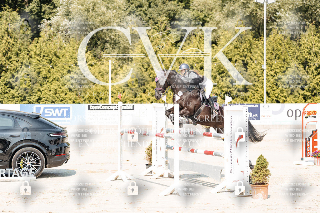 CK901583 | Turnierfotografie Pferdefotografie Trier Rheinland-Pfalz Pferdesport Reitsport Tierfotografie Sportfotografie Pferdevideo Pferdevideografie Equestrianvideography equestrianphotography  - Realisiert mit Pictrs.com