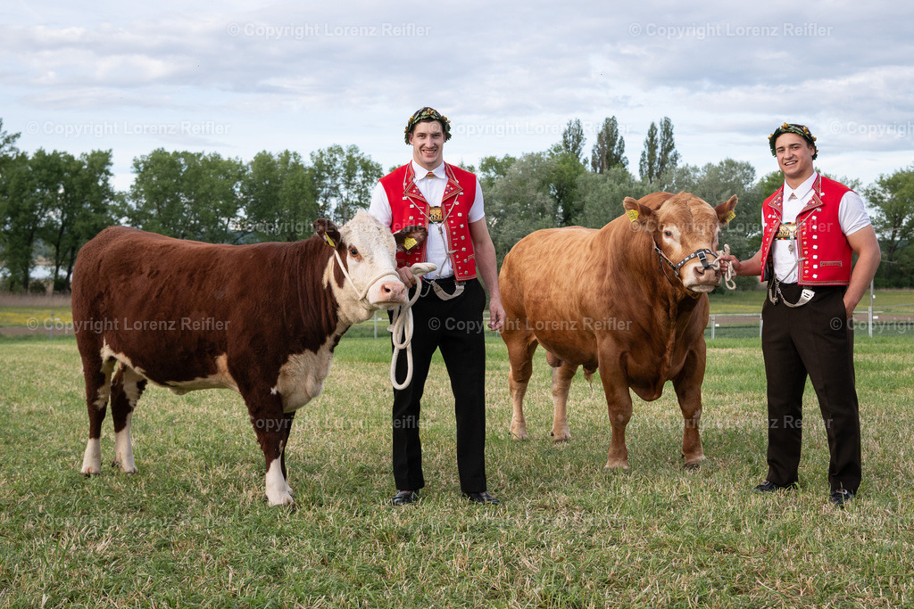 Schwingen -  Thurgauer Kantonales 2024 | Ermatingen, 5.5.24, Schwingen - Thurgauer Kantonales.